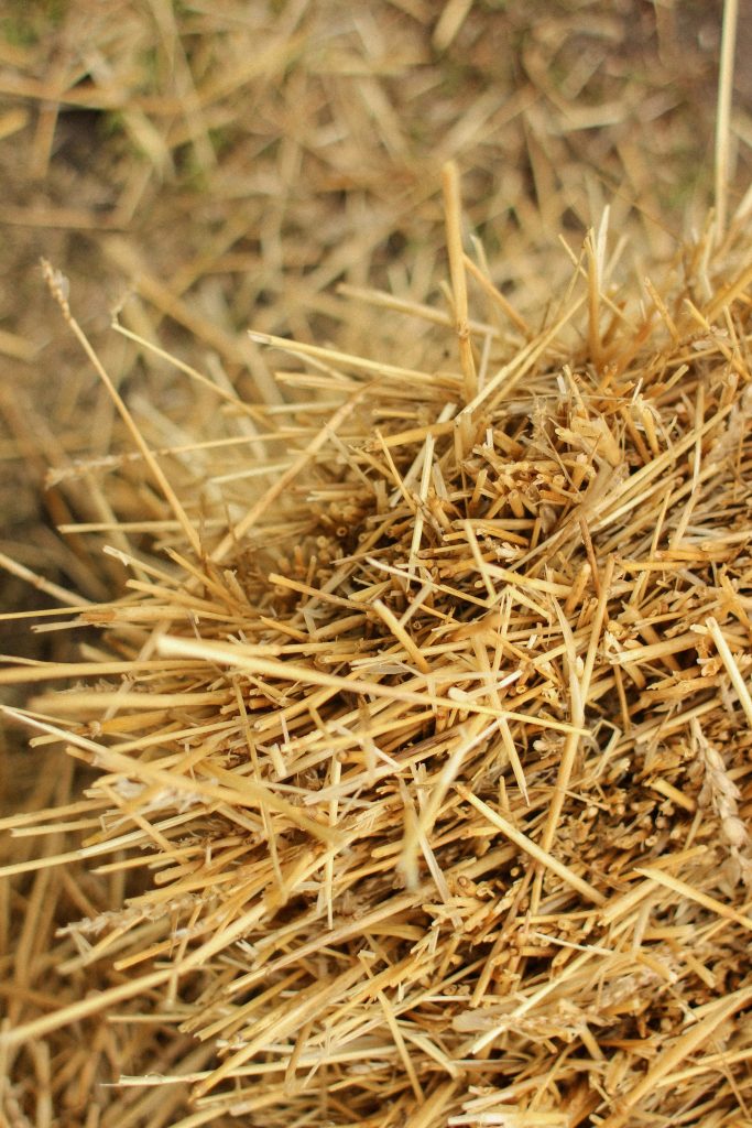 Straw
